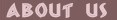 OITaboutus.jpg (1824 bytes)